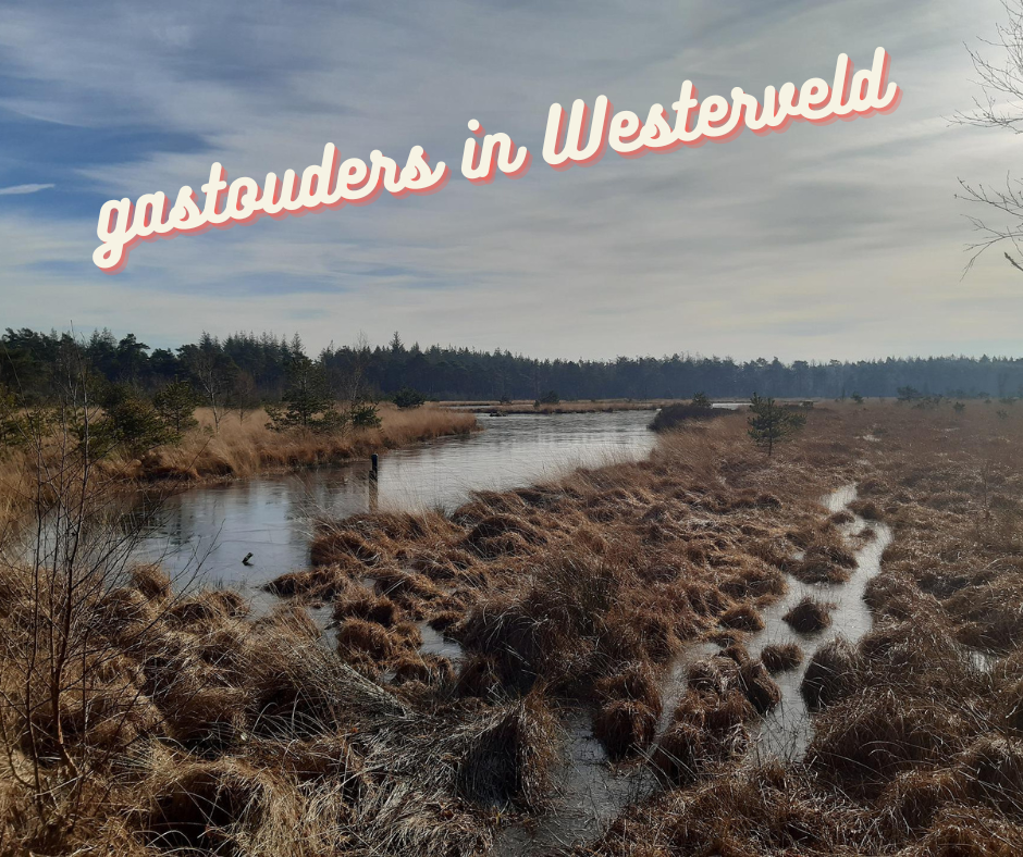 gastouders in Westerveld